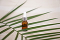 Blank amber glass essential oil bottle with pipette on tropical leaf background Blank amber glass essential oil bottle with pipette on tropical leaf background - PhotoDune Item for Sale
