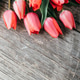 Pink tulips bouquet border on vintage wooden background. Mother's day, wedding and valentin Pink tulips bouquet border on vintage wooden background. Mother's day, wedding and valentin - PhotoDune Item for Sale