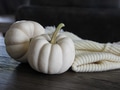 Fall white pumpkins and textured wool hat on wooden surface and dark background with copy space Fall white pumpkins and textured wool hat on wooden surface and dark background with copy space - PhotoDune Item for Sale