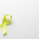 Composition of light green std health awareness ribbon, on white ...