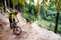 Mountain biker riding cycling in autumn forest Mountain biker riding cycling in autumn forest - PhotoDune Item for Sale