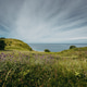 Flower field on Mones, Vigra Flower field on Mones, Vigra - PhotoDune Item for Sale