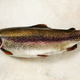 Fresh unpeeled trout Fresh unpeeled trout - PhotoDune Item for Sale