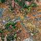 Flooded Peat Bog Wetland with Dead Trees Aerial Winter View Flooded Peat Bog Wetland with Dead Trees Aerial Winter View - PhotoDune Item for Sale