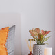 Cozy bedroom with an orange pillow, pink and green houseplant, aroma diffuser, and a glowing lamp Cozy bedroom with an orange pillow, pink and green houseplant, aroma diffuser, and a glowing lamp - PhotoDune Item for Sale