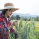 Farmer Inspecting Green Wheat with Magnifying Glass Farmer Inspecting Green Wheat with Magnifying Glass - PhotoDune Item for Sale