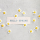 Hello Spring Card with Chamomile Daisies on Minimal Background Hello Spring Card with Chamomile Daisies on Minimal Background - PhotoDune Item for Sale