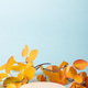 Stone podium with autumn leaves Stone podium with autumn leaves - PhotoDune Item for Sale