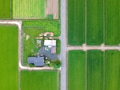Aerial view of the road through the green field. Agricultural landscape Aerial view of the road through the green field. Agricultural landscape - PhotoDune Item for Sale