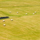 View Of Rural Landscape Field Meadow, Germany View Of Rural Landscape Field Meadow, Germany - PhotoDune Item for Sale