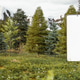 3d Illustration of Big Smartphone With White Screen in the Middle of Wild Forest. 3d Illustration of Big Smartphone With White Screen in the Middle of Wild Forest. - PhotoDune Item for Sale