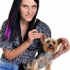 Beautiful Young Girl With Cute Yorkshire Terrier Dog, Isolated On White. Beautiful Young Girl With Cute Yorkshire Terrier Dog, Isolated On White. - PhotoDune Item for Sale