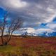 Around Chilean Patagonia Around Chilean Patagonia - PhotoDune Item for Sale