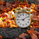 An old fashion, alarm clock set on a log surrounded by fallen, autumn-colored leaves An old fashion, alarm clock set on a log surrounded by fallen, autumn-colored leaves - PhotoDune Item for Sale