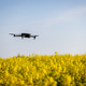 Drone Flying Over a Field Collecting Crop Data Drone Flying Over a Field Collecting Crop Data - PhotoDune Item for Sale