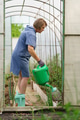 Mature woman with watering can gardening in greenhouse at home - shot in slow motion Mature woman with watering can gardening in greenhouse at home - shot in slow motion - PhotoDune Item for Sale