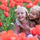 Adorable little caucasian blonde girl smiling in tulip field at spring day Adorable little caucasian blonde girl smiling in tulip field at spring day - PhotoDune Item for Sale