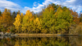 Autumn Colored Trees Reflecting In The Calm Water Autumn Colored Trees Reflecting In The Calm Water - PhotoDune Item for Sale