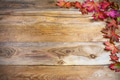 Thanksgiving greeting with fall vivid maple leaves on rustic wo Thanksgiving greeting with fall vivid maple leaves on rustic wo - PhotoDune Item for Sale