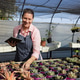 Woman checking succulents at shade greenhouse wearing striped apron pink shirt and holding tablet Woman checking succulents at shade greenhouse wearing striped apron pink shirt and holding tablet - PhotoDune Item for Sale