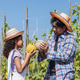Father and daughter examine ripe melons together in a sunny farm field Father and daughter examine ripe melons together in a sunny farm field - PhotoDune Item for Sale