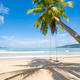 Landscape beach sea in sunny day Coconut tree on beach sand Landscape beach sea in sunny day Coconut tree on beach sand - PhotoDune Item for Sale
