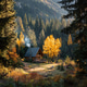 Autumn-Secluded Cabin in Autumnal Forest: A cozy retreat amidst nature's vibrant colors. Autumn-Secluded Cabin in Autumnal Forest: A cozy retreat amidst nature's vibrant colors. - PhotoDune Item for Sale