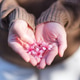 Closeup image of a woman holding a pink cherry blossom flower in the hands Closeup image of a woman holding a pink cherry blossom flower in the hands - PhotoDune Item for Sale