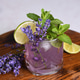 Cocktail Lavender Mojito Cocktail Lavender Mojito - PhotoDune Item for Sale