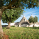Trulli houses under old olive tree Trulli houses under old olive tree - PhotoDune Item for Sale