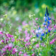 Natural floral background Natural floral background - PhotoDune Item for Sale
