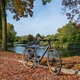 Modern gravel bike parked by the curb in the autumn leaves Modern gravel bike parked by the curb in the autumn leaves - PhotoDune Item for Sale