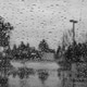 Drops of rain on the window; blurred trees in the background Drops of rain on the window; blurred trees in the background - PhotoDune Item for Sale