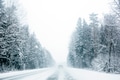 Car driving trough forest highway in snowstorm Car driving trough forest highway in snowstorm - PhotoDune Item for Sale