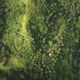 Top down Philippines hill aerial view: tropic forest on mounts, coconut palm trees, high green grass Top down Philippines hill aerial view: tropic forest on mounts, coconut palm trees, high green grass - PhotoDune Item for Sale