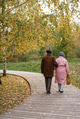 an elderly couple who have lived together for 50 years are walking in the park, on a cloudy autumn d an elderly couple who have lived together for 50 years are walking in the park, on a cloudy autumn d - PhotoDune Item for Sale