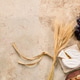 Shavuot holiday symbols with wheat, cheese, grapes, milk Shavuot holiday symbols with wheat, cheese, grapes, milk - PhotoDune Item for Sale