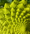 Green vegetable background of Romanesco cabbage. Romanesco head close-up, green Romanesco broccoli, Green vegetable background of Romanesco cabbage. Romanesco head close-up, green Romanesco broccoli, - PhotoDune Item for Sale
