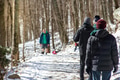 Group of people hiking on a natural trail in the forest after a snow storm. Group of people hiking on a natural trail in the forest after a snow storm. - PhotoDune Item for Sale