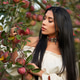 Pensive beauty picking apples in orchard in fall. Pensive beauty picking apples in orchard in fall. - PhotoDune Item for Sale