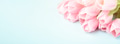 Blue Banner with Pink Tulips. Blue Banner with Pink Tulips. - PhotoDune Item for Sale