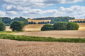 Countryside, trees and farm with landscape, natural and sustainability with blue sky. Empty, outdoo Countryside, trees and farm with landscape, natural and sustainability with blue sky. Empty, outdoo - PhotoDune Item for Sale