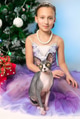 Sphynx Cat looking at camera, sitting near girl in purple dress on background of Christmas tree Sphynx Cat looking at camera, sitting near girl in purple dress on background of Christmas tree - PhotoDune Item for Sale