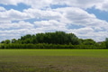 Green Field Landscape On A Cloudy Day Green Field Landscape On A Cloudy Day - PhotoDune Item for Sale