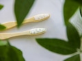 Overhead view of compostable natural wooden biodegradable ecofriendly bamboo toothbrushes Overhead view of compostable natural wooden biodegradable ecofriendly bamboo toothbrushes - PhotoDune Item for Sale