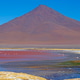 Flamingos Feeding in a Saline Lake Below a Dramatic Mountain Flamingos Feeding in a Saline Lake Below a Dramatic Mountain - PhotoDune Item for Sale