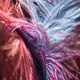 Feathers for decoration Feathers for decoration - PhotoDune Item for Sale