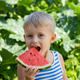4 years old boy eating watermelon. Cute kid 4 years old boy eating watermelon. Cute kid - PhotoDune Item for Sale