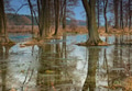 Flooded trees in the meadow Flooded trees in the meadow - PhotoDune Item for Sale