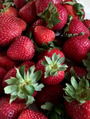 Overhead of fresh red delicious textured strawberries during summer time. Overhead of fresh red delicious textured strawberries during summer time. - PhotoDune Item for Sale